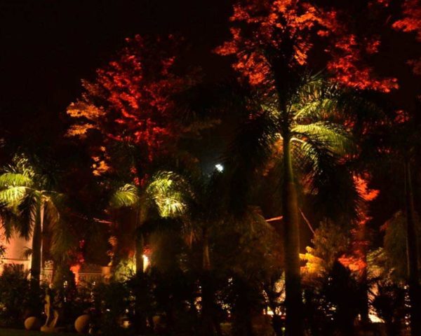Lighting