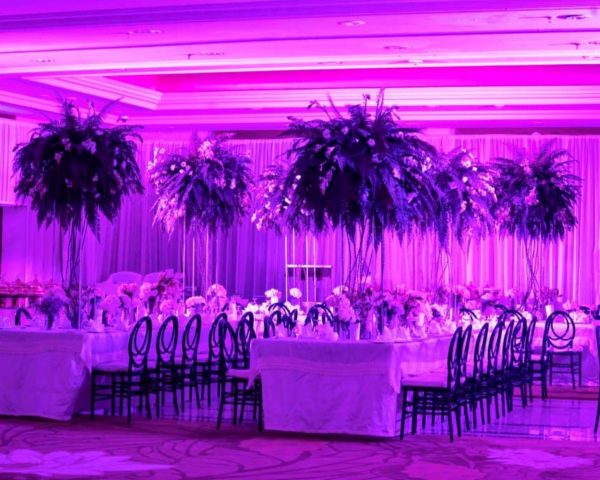Luxury Weddings