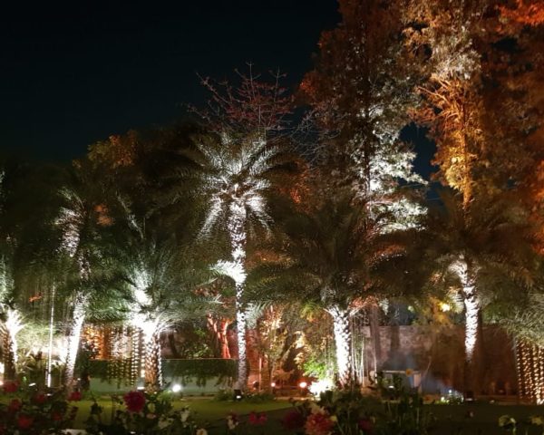Lighting
